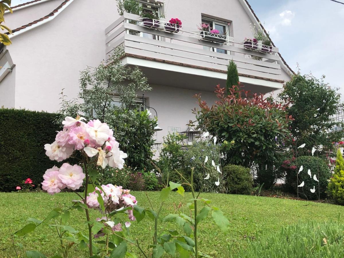 Gite Riquewihr "C'Est Beau La Vie Alsace" Exterior foto